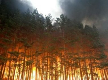 Decese şi incendii de vegetaţie majore în Canada