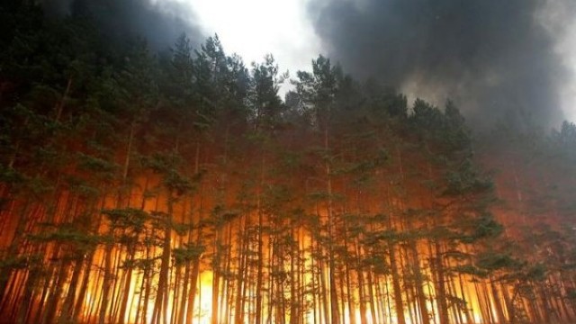 Un incendiu de vegetaţie în Franţa, a provocat pene de curent în Spania şi Portugalia