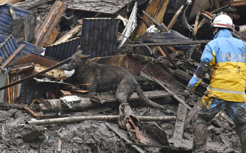 Căutarea persoanelor dispăure în urma alunecării de teren din Japonia, îngreunată de ploaia persistentă