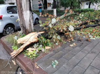 Dezastru în urma furtunii la Botoşani. Maşini avariate, case distruse, 14 localităţi fără curent