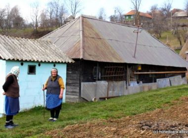 De ce s-a depopulat Ţinutul Pădurenilor. Frumoasa regiune din vestul României, pustiită în ultimele decenii