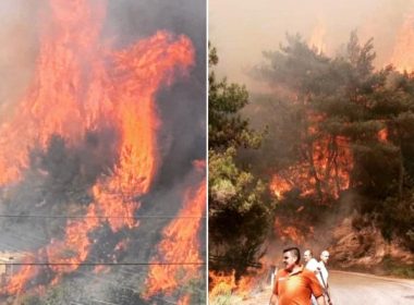Nordul Libanului este cuprins de flăcări. Un copil de 15 ani a murit în timp ce îi ajuta pe pompieri să stingă incendiile de vegetaţie