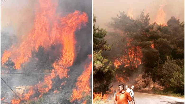 Nordul Libanului este cuprins de flăcări. Un copil de 15 ani a murit în timp ce îi ajuta pe pompieri să stingă incendiile de vegetaţie