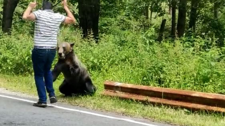 La un pas de moarte după ce l-a atacat ursul