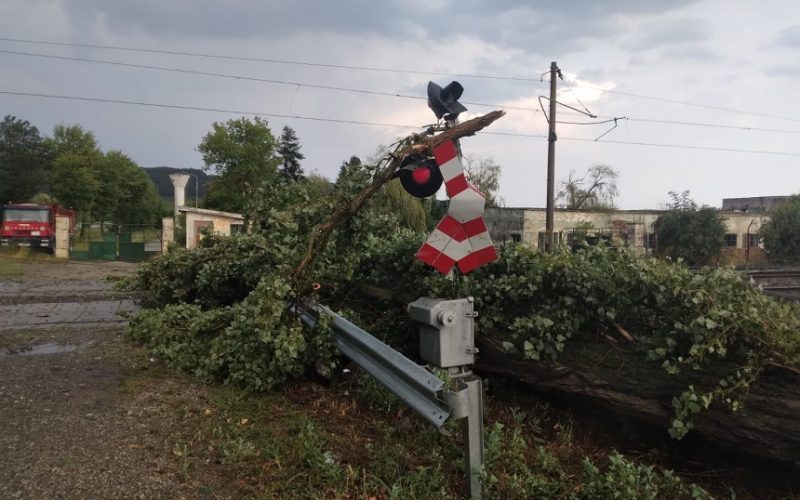 Copac prăbuşit pe calea ferată între Iclod şi Bonţida, unde traficul feroviar se desfăşoară cu locomotive diesel / În Braşov, circulaţia e blocată după prăbuşirea mai multor pomi / Şi pe raza regionalelor Iaşi şi Bucureşti sunt probleme