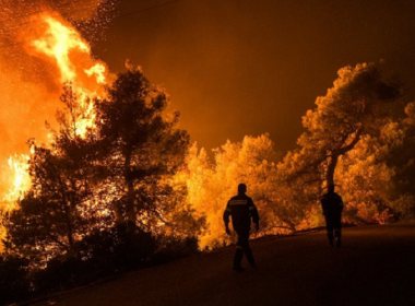Insula Evia, din nou în flăcări