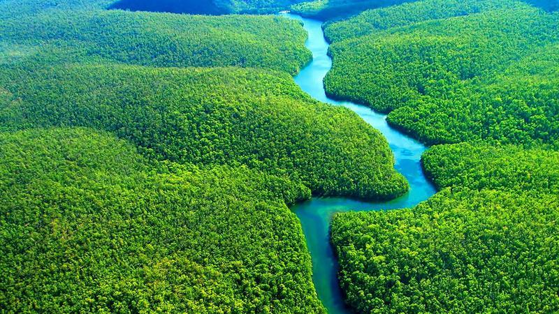 Criză climatică. Pădurea amazoniană, considerată „plămânul” Terrei, emite pentru prima dată mai mult dioxid de carbon decât consumă