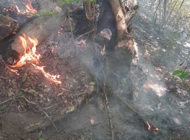 Mehedinţi: Nu mai sunt focare aprinse în zona incendiului din Parcul Naţional Porţile de Fier