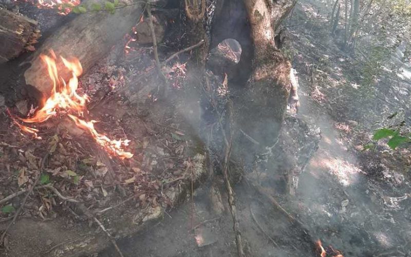 Mehedinţi: Nu mai sunt focare aprinse în zona incendiului din Parcul Naţional Porţile de Fier