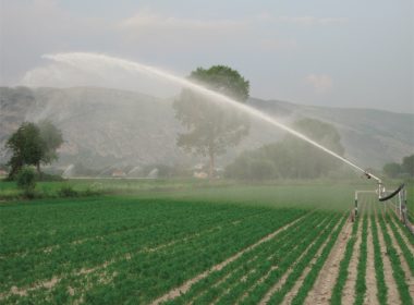 Exportăm apă, culturile se usucă pe câmp