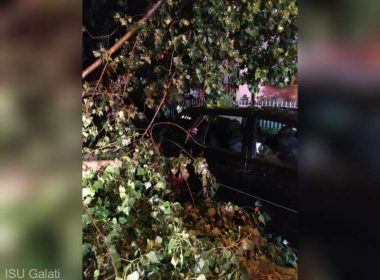 Trei maşini distruse de copaci doborâţi de furtună