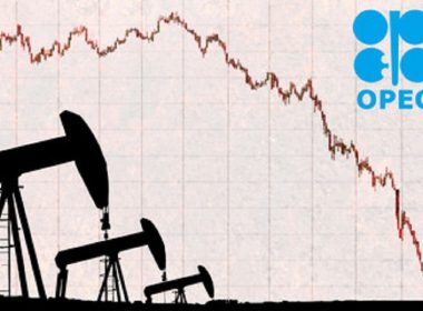 OPEC: Cererea mondială de petrol va atinge nivelul anterior pandemiei de Covid-19 în 2022