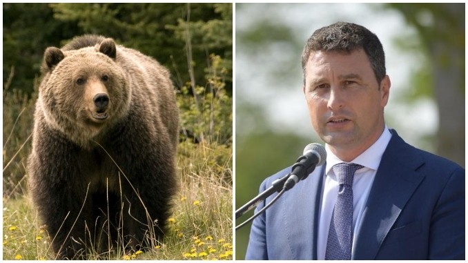 În plin scandal, un urs i-a ieşit în cale ministrului Mediului