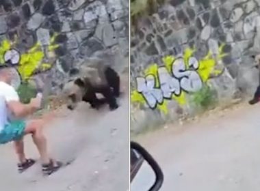 Un nou caz de inconştienţă: Tânăr atacat de urs după ce s-a apropiat la 2 metri ca să-l fotografieze