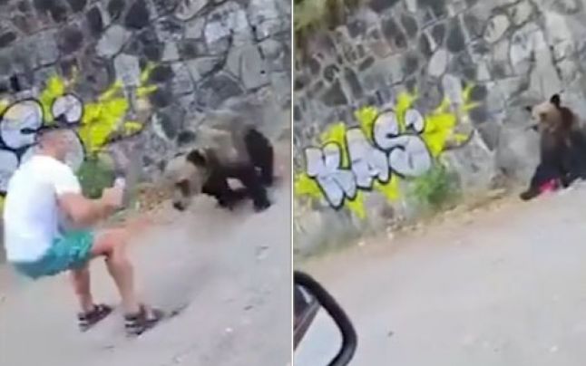 Un nou caz de inconştienţă: Tânăr atacat de urs după ce s-a apropiat la 2 metri ca să-l fotografieze