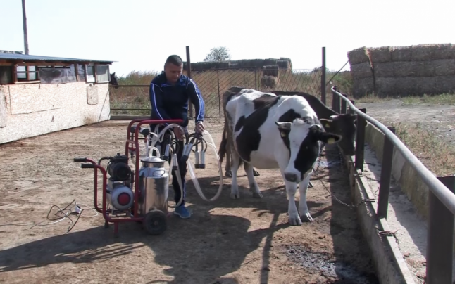 Laptele a ajuns să coste la poarta fermei mai puţin decât apa plată. Cine dictează preţurile de achiziţie