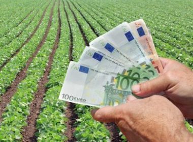 S-au terminat fondurile AFIR pentru tinerii fermieri! Proiecte de peste 112 milioane EURO