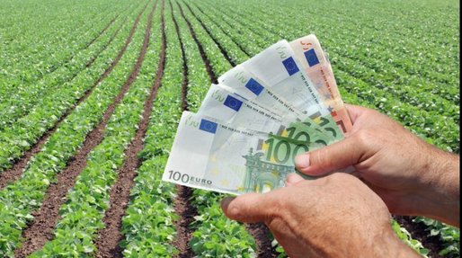 S-a aprobat AZI! Sprijin 300 de milioane de euro pentru agricultură şi industria alimentară