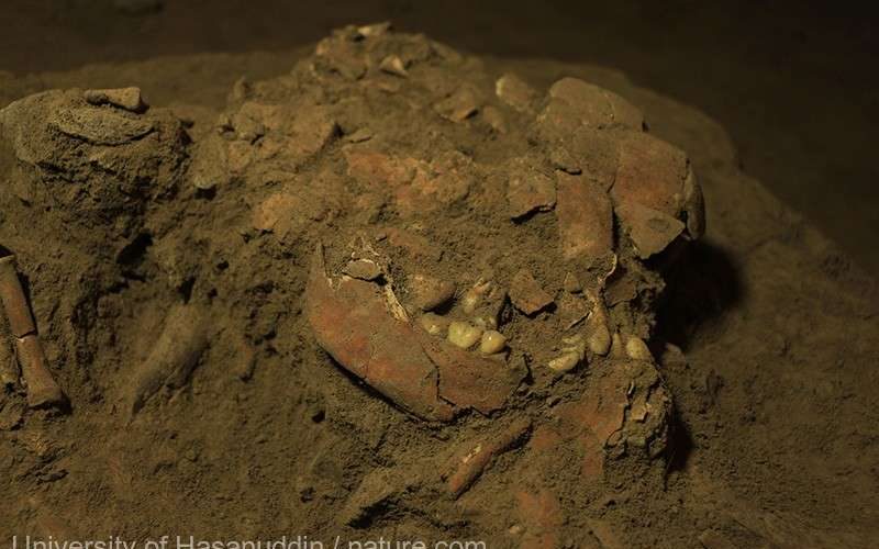 ADN-ul unui schelet descoperit în Indonezia relevă  existenţa unui grup de hominizi necunosut până acum