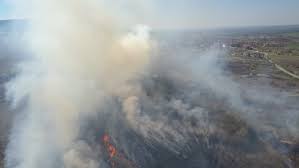Incendiile de vegetaţie continuă să devasteze zone din Bulgaria. Valul de căldură alimentează focul