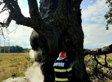 Un copac secular a luat foc după ce a fost lovit de fulger, fiind necesară intervenţia pompierilor
