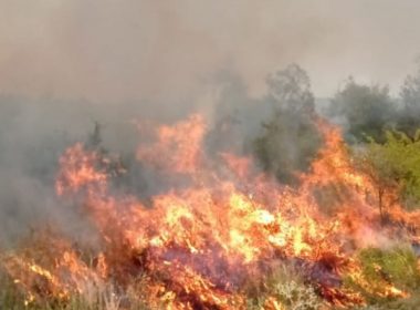 Incendiu de vegetaţie în Devesel, Mehedinţi. Au ars mai multe gospodării: "Au luat foc toate, casă, maşină, animale"