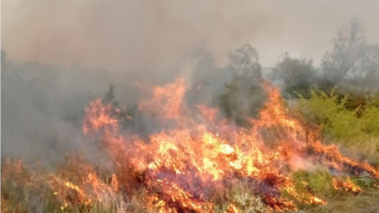 Incendiu de vegetaţie în Devesel, Mehedinţi. Au ars mai multe gospodării: "Au luat foc toate, casă, maşină, animale"