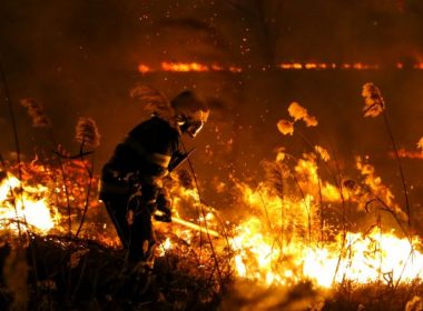 100 de pompieri au intervenit pentru stingerea a 22 de incendii de vegetaţie