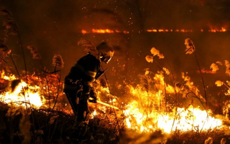 100 de pompieri au intervenit pentru stingerea a 22 de incendii de vegetaţie