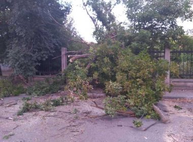 Furtuni puternice în Brăila şi Galaţi - Autorităţile intervin pentru îndepărtarea efectelor / Zeci de apeluri la 112 pentru a reclama copaci căzuţi pe maşini, pe carosabil sau pe cabluri