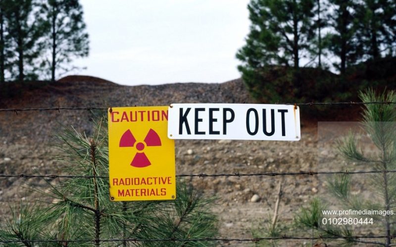La mai bine de 30 de ani de la accidentul nuclear de la Cernobîl, ciupercile sălbatice din Germania încă sunt contaminate radioactiv