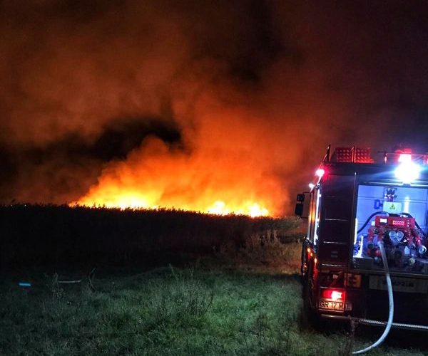 Incendiu de vegetaţie uscată în apropierea unor sonde la Boldeşti Scăieni