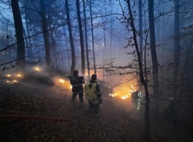 Pădurea de la Oituz arde de o săptamână. 30 de pompieri încearcă să stingă incendiul