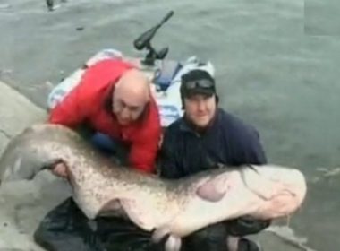 Somn de 20 de ani şi 100 kg, capturat de un pescar