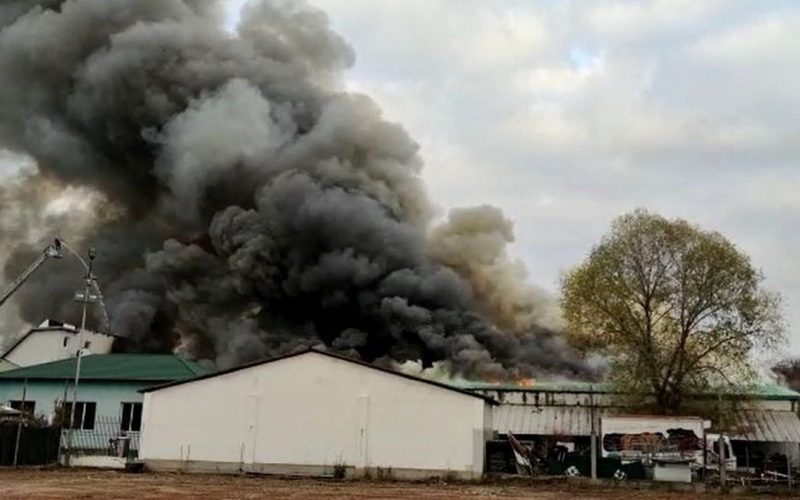Incendiul de la fabrica de produse din carne a fost localizat. Acoperişul s-a prăbuşit