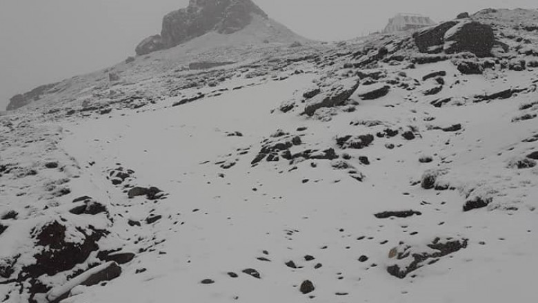 Început de aprilie cu ninsori abundente la munte. Imagini din Maramureş, unde stratul de zăpadă se apropie de 30 de centimetri
