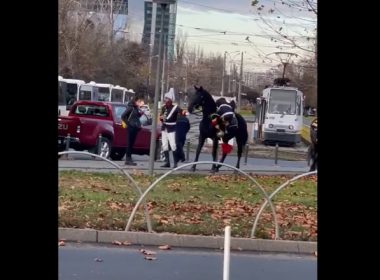 Video viral: Jandarm filmat în timp ce cade de pe cal, înaintea paradei de 1 Decembrie