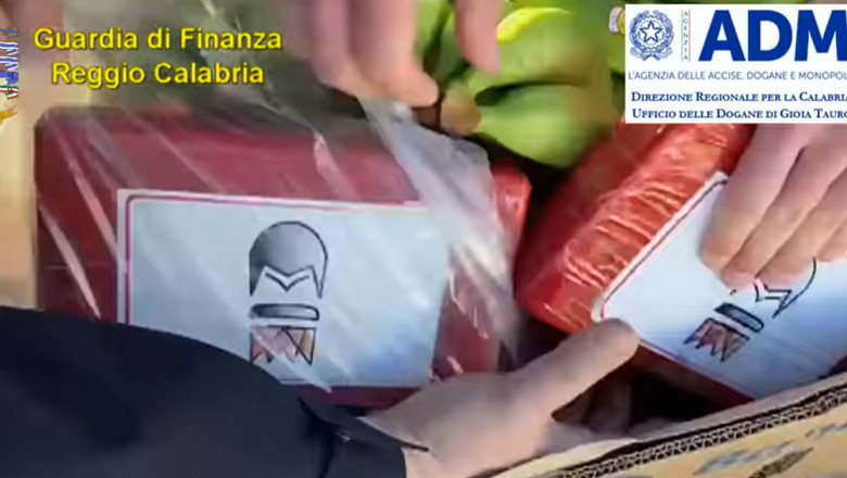 Cocaină de un miliard de euro ascunsă printre banane, descoperită într-un port din Italia, în regiunea clanului mafiot 'Ndrangheta