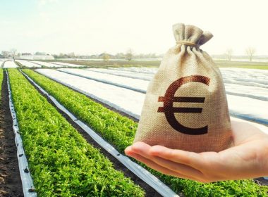 Anunţ de la Ministerul Agriculturii – Plăţi directe în conturile fermierilor