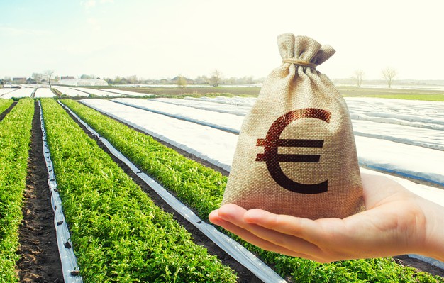 Subvenţii APIA reduse cu 25% – Cine sunt fermierii care pierd o parte din bani