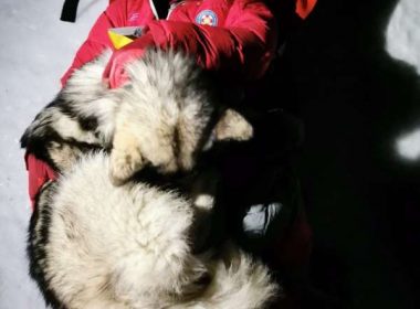 Un câine a salvat viaţa unui excursionist accidentat în Croaţia