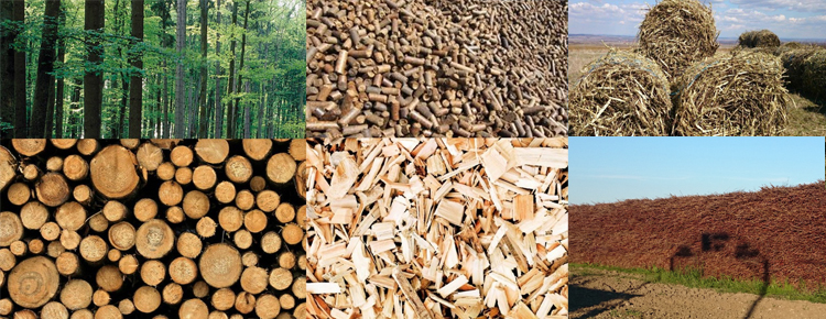 Planul Naţional Integrat privind Energia şi Clima conţine măsuri ambigue în privinţa utilizării biomasei