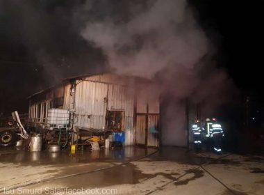 Incendiu la o hală în localitatea Crişeni