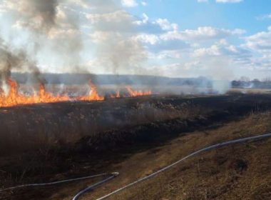 Incendiu de vegetaţie extins pe 70 de hectare în lunca Dunării, la Gârcov