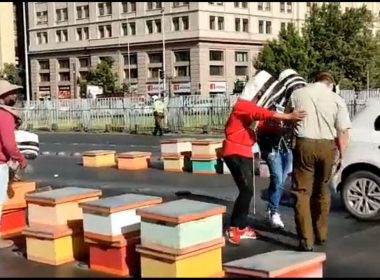 Protest cu albine în Chile