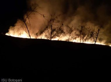 Incendii de vegetaţie uscată în mai multe localităţi; peste 170 de hectare şi o casă - afectate la Ceptura