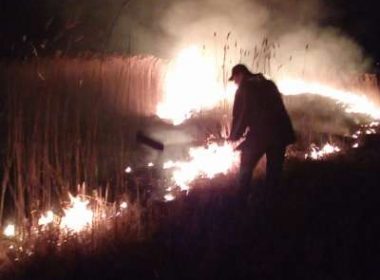 O maşină avariată şi peste 20 de hectare de vegetaţie arse în urma a 13 incendii