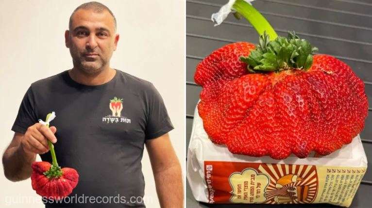 O căpşună uriaşă i-a adus unui fermier din Israel un record mondial Guinness
