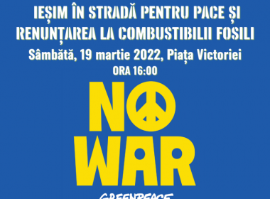 Protest de susţinere pentru Ucraina, organizat de Greenpeace România şi alte 11 organizaţii civice