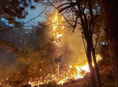 A fost solicitat sprijin aerian pentru stingerea incendiului de pe dealurile din Breaza / Flăcările au ajuns şi la parcul de antene şi relee de pe Vârful Istriţa 